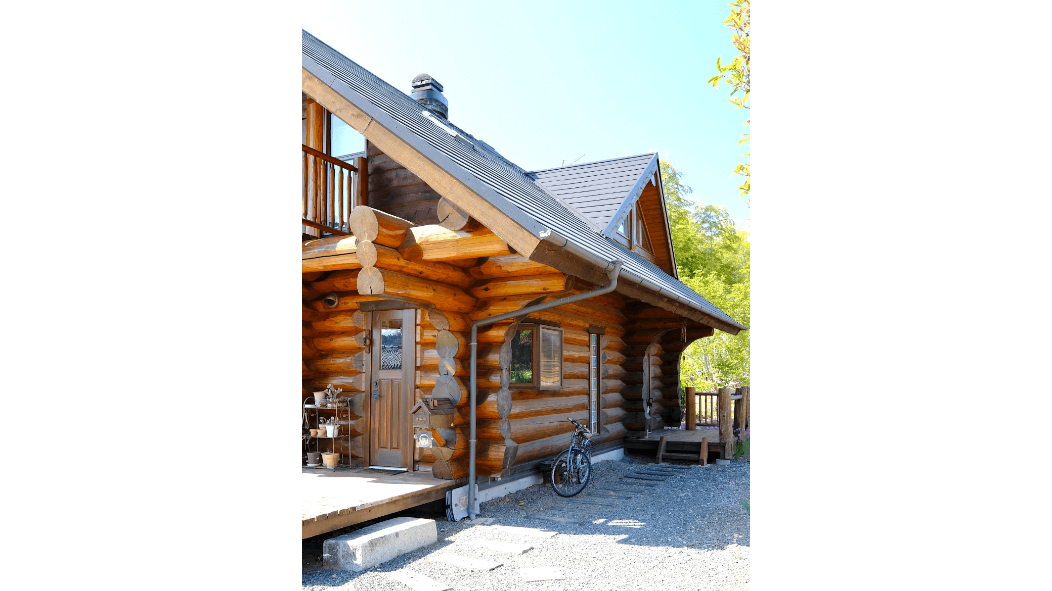 ギャラリー画像