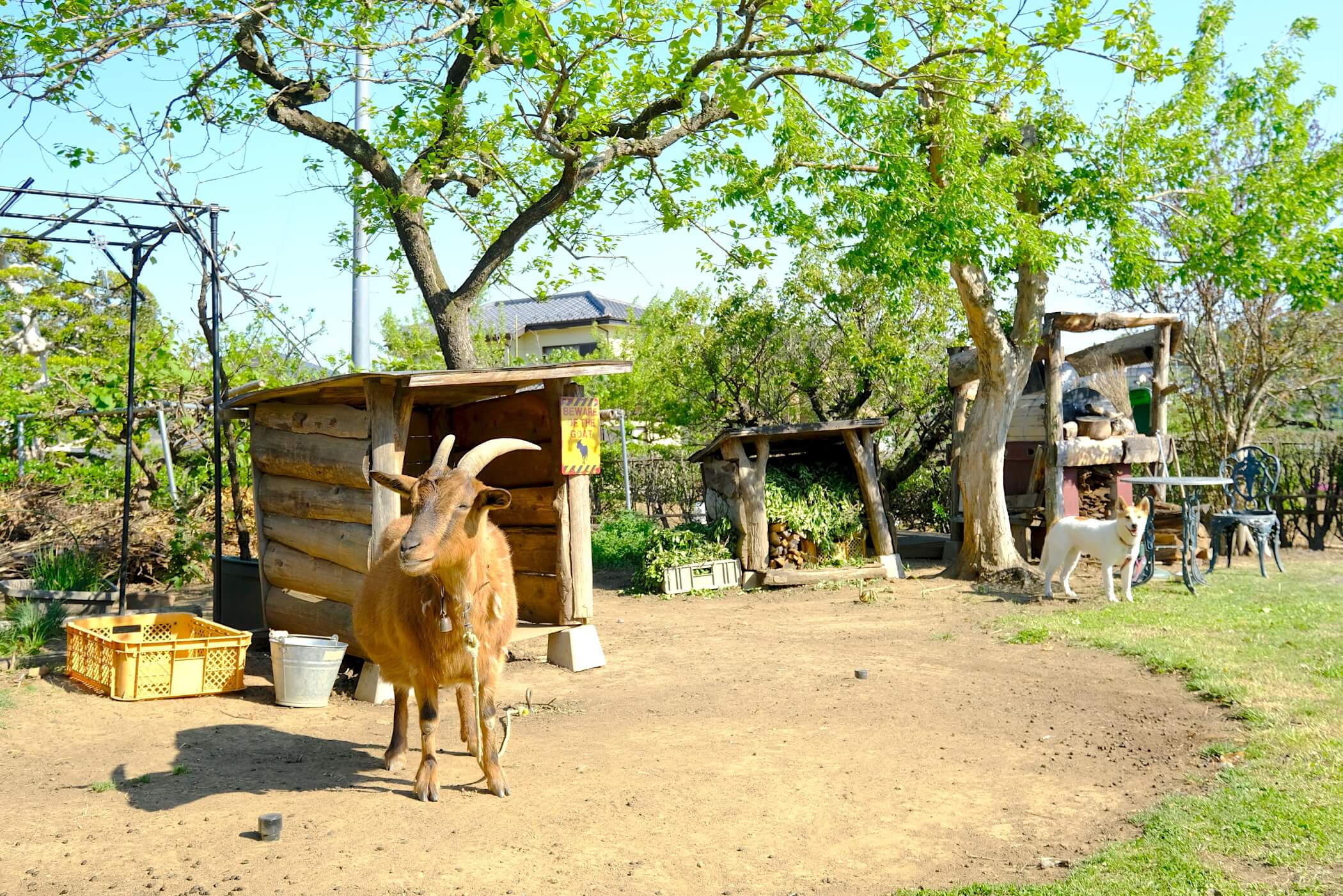 ギャラリー画像