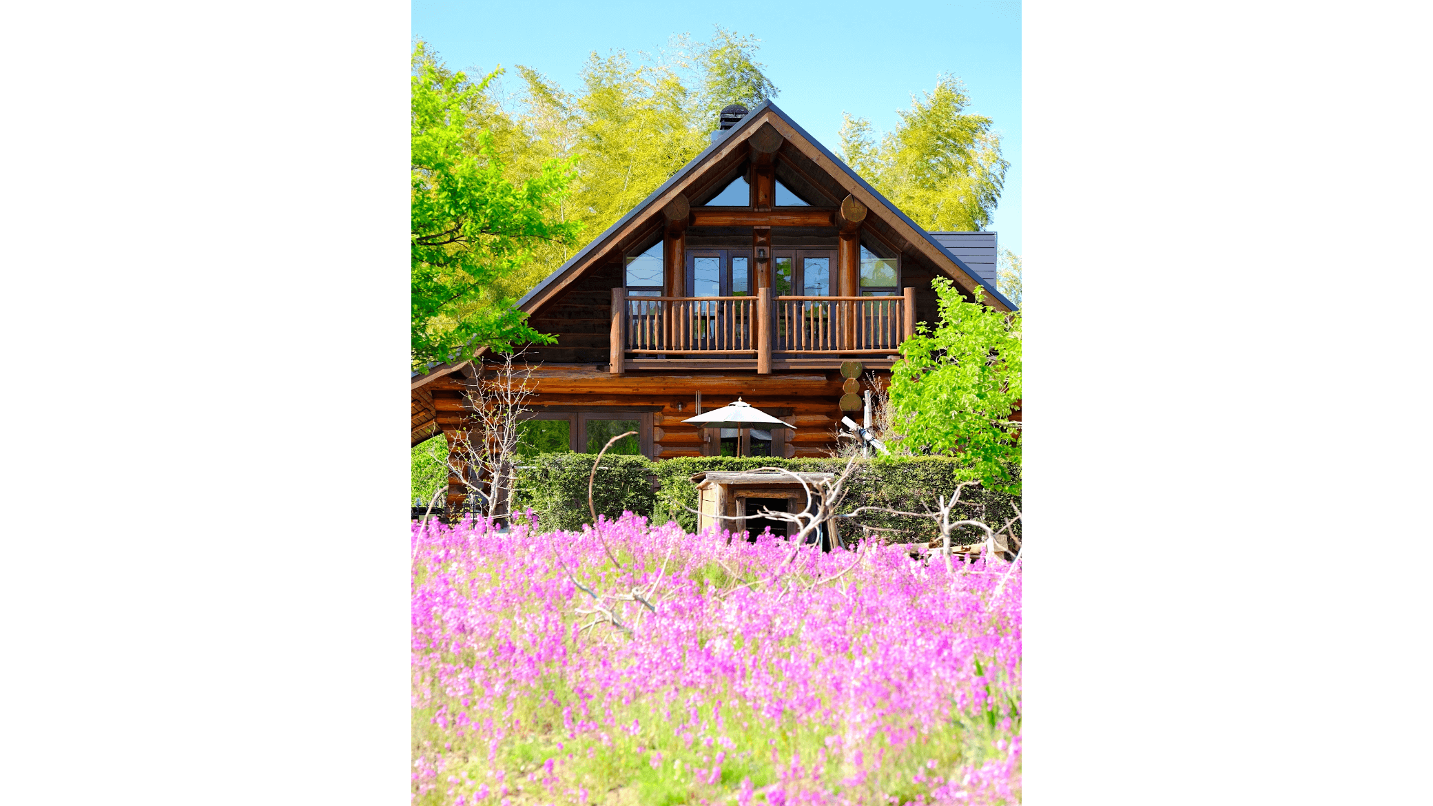 ギャラリー画像