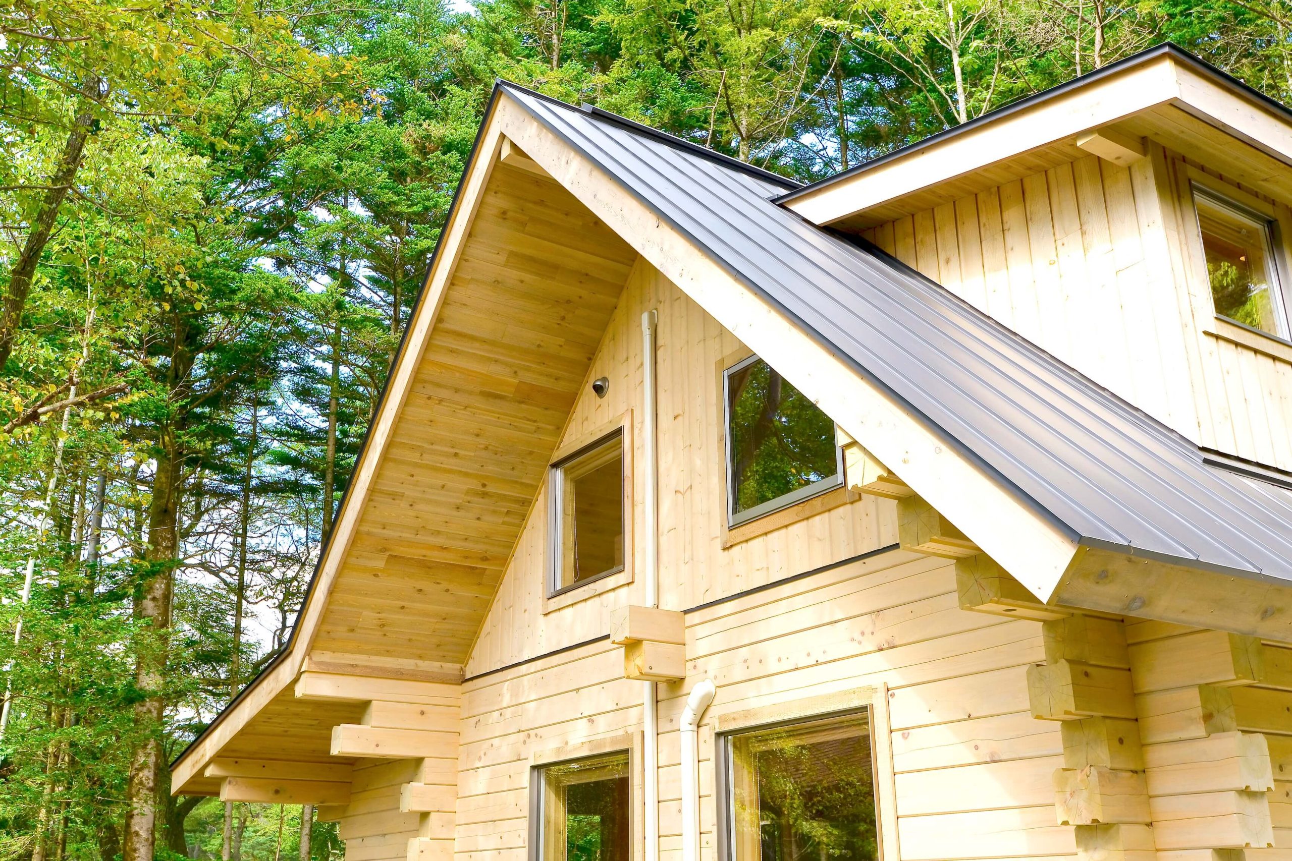 ギャラリー画像